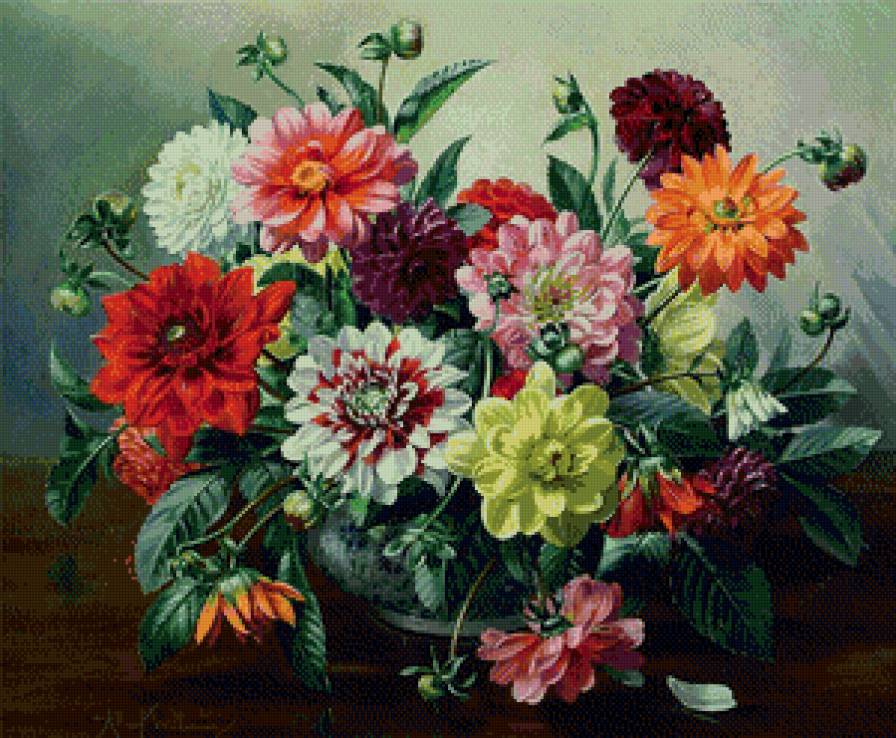 такие разные георгины - георгины, цветы - предпросмотр