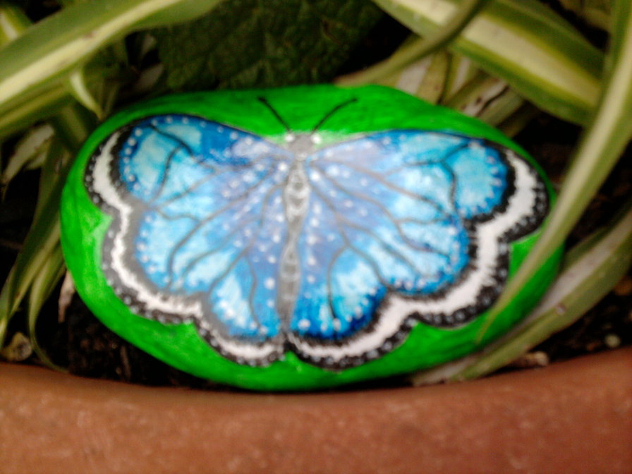 бабочка - камни, лето - оригинал