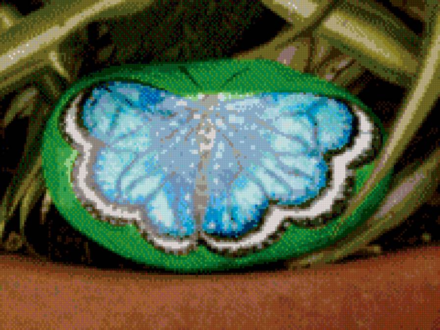 бабочка - камни, лето - предпросмотр