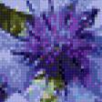 Предпросмотр схемы вышивки «Васильки» (№649611)
