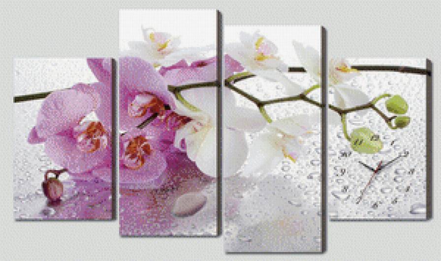 Орхидея - предпросмотр