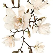 Оригинал схемы вышивки «6» (№649678)