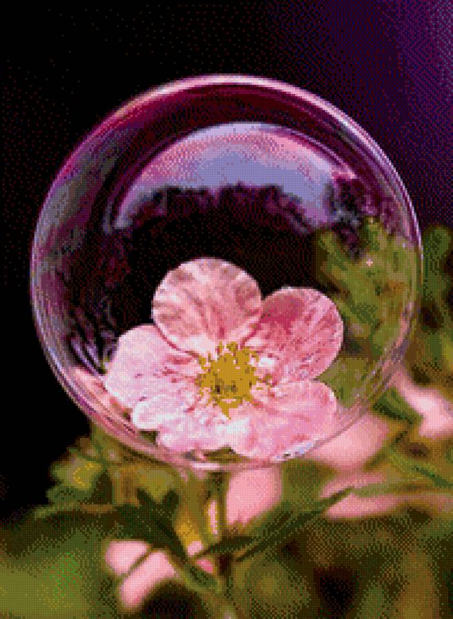 мыльный пузырь на цветке - пузырь, шар, цветок - предпросмотр