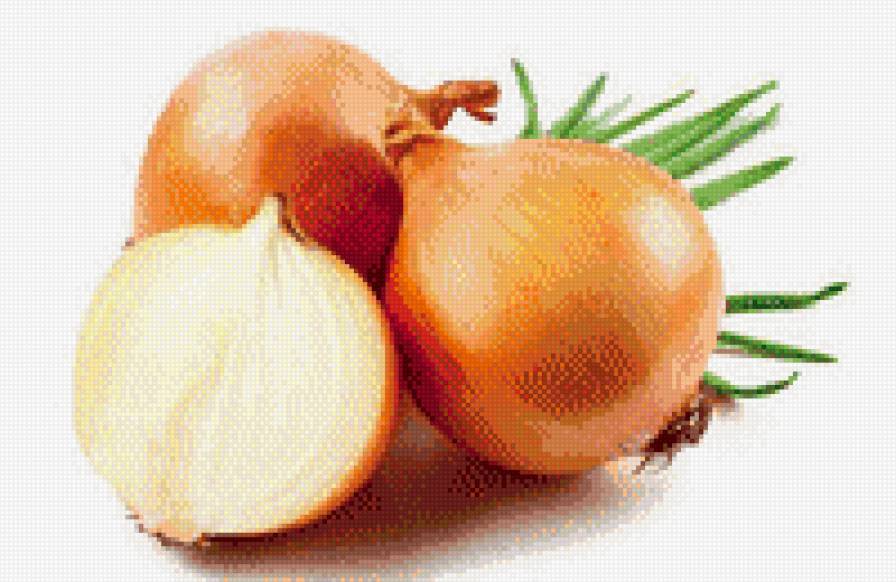 лук - овощи, лук, кухня, цебуля, зелень - предпросмотр