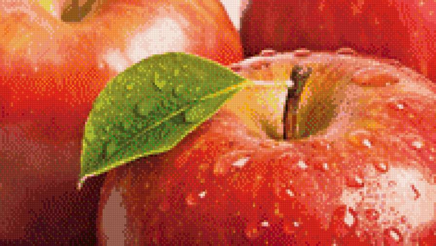 красные яблоки с росой - еда, капли, яблоки, роса, фрукты, кухня - предпросмотр