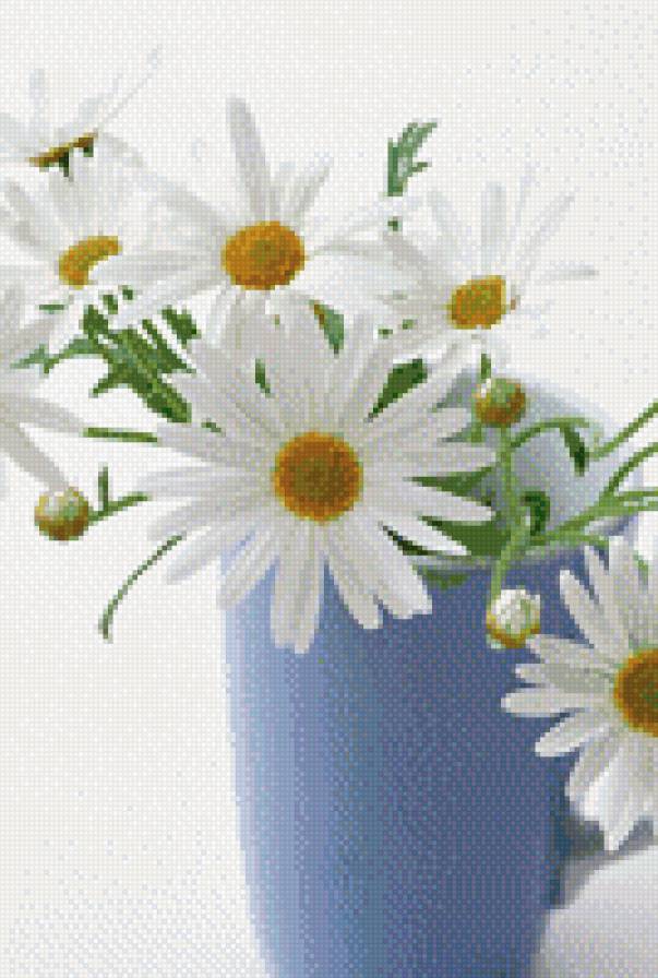 ромашки - цветы, ромашки - предпросмотр