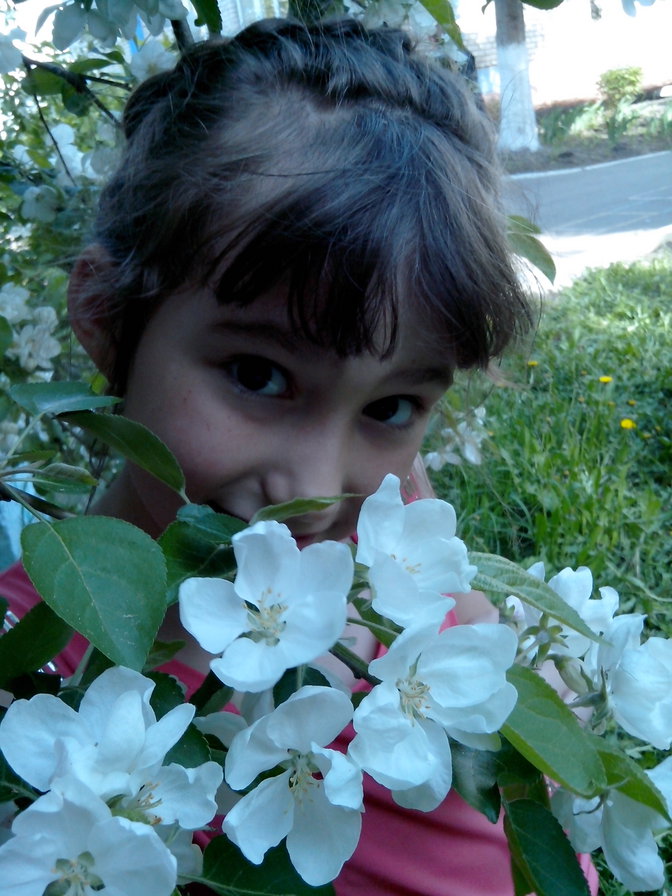 Алёка - оригинал