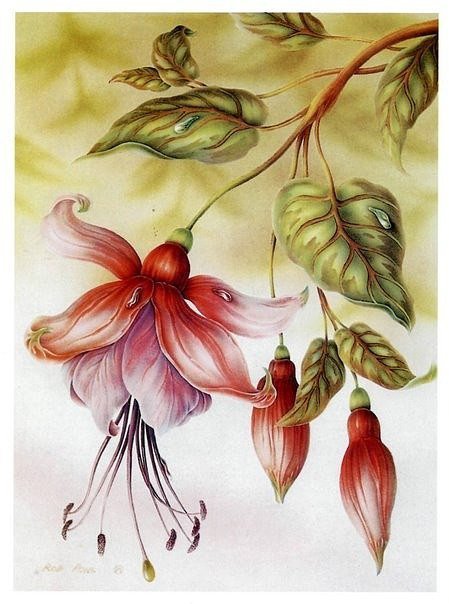 №650501 - оригинал