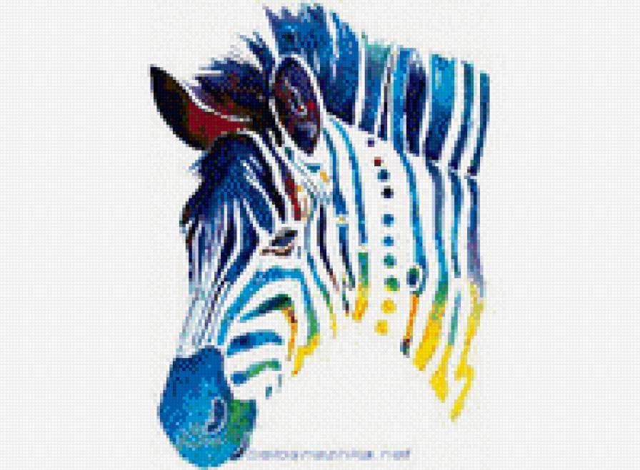 Радужная зебра - зебра - предпросмотр