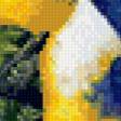 Предпросмотр схемы вышивки «птицы» (№650627)