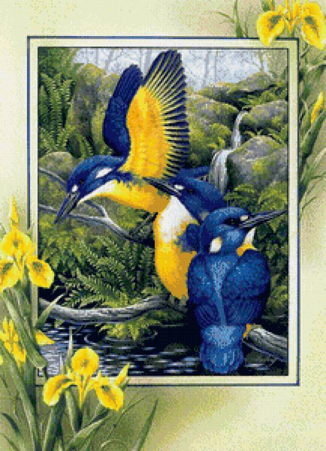 птицы - мир животных - предпросмотр