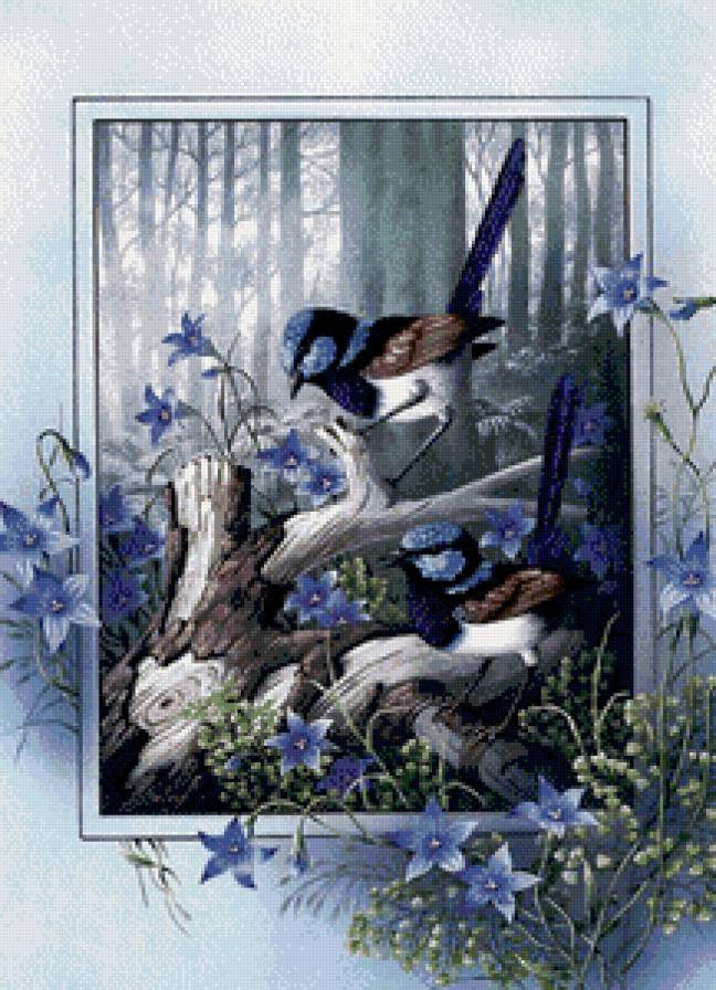 птицы - мир животных - предпросмотр