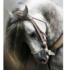 Оригинал схемы вышивки «конь» (№650686)
