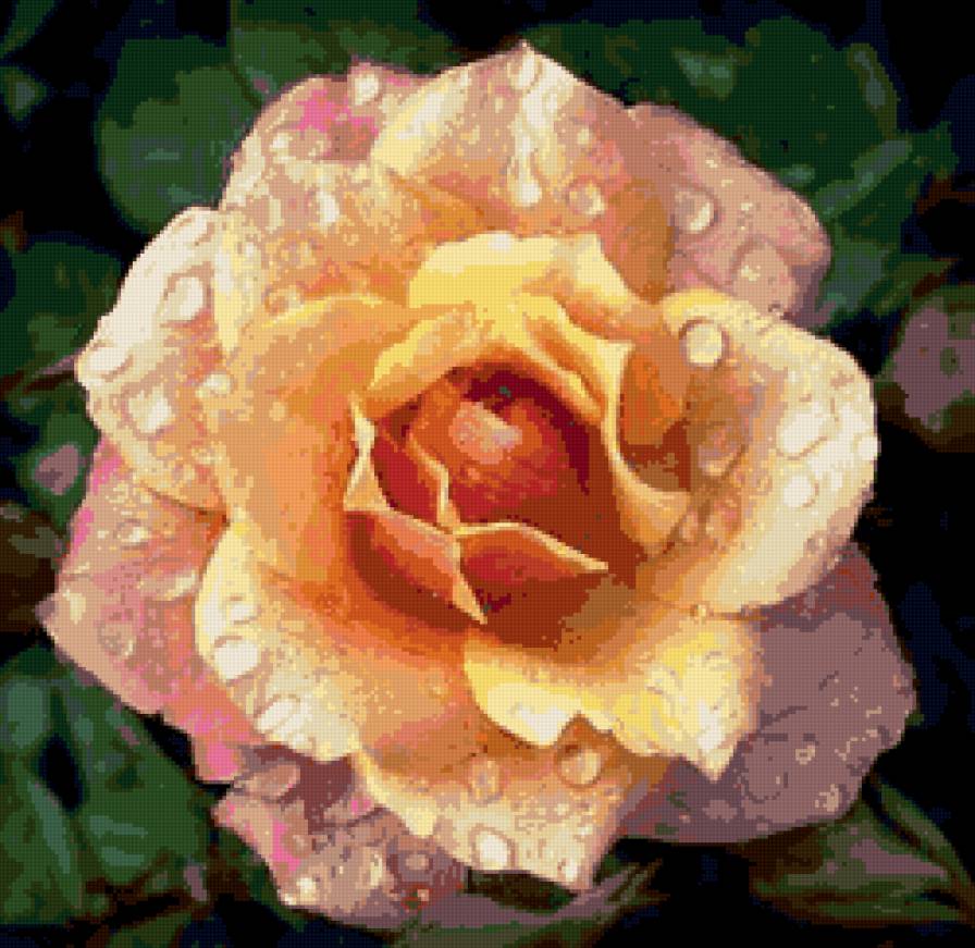 подушка роза - цветы, роза, пано, подушка - предпросмотр