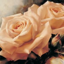 Схема вышивки «розы»