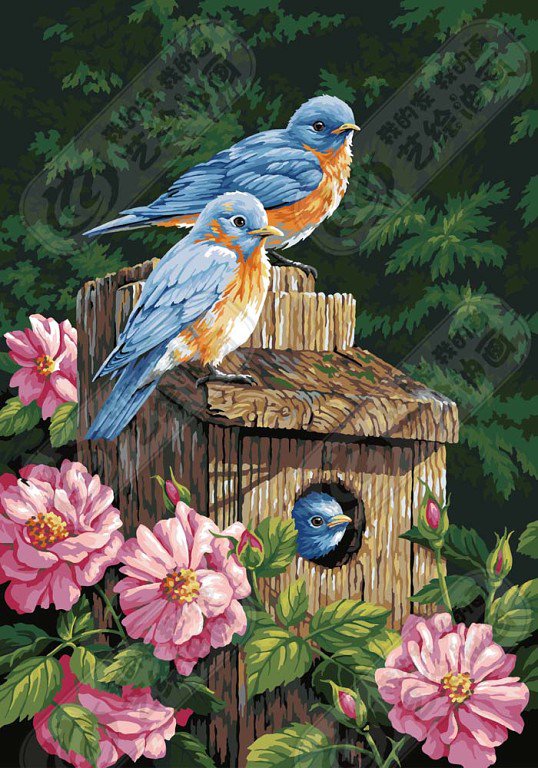 Серия птицы - птицы, природа - оригинал