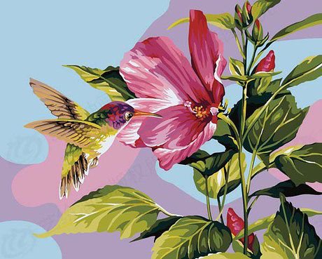 Калибри - птицы, природа - оригинал