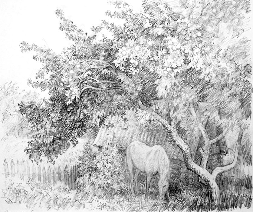 Лошадка - черно-белое, графика, лошадь - оригинал