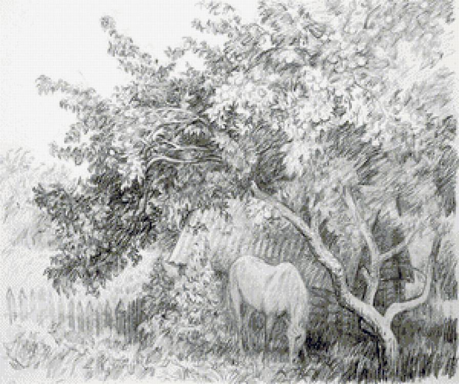 Лошадка - черно-белое, лошадь, графика - предпросмотр