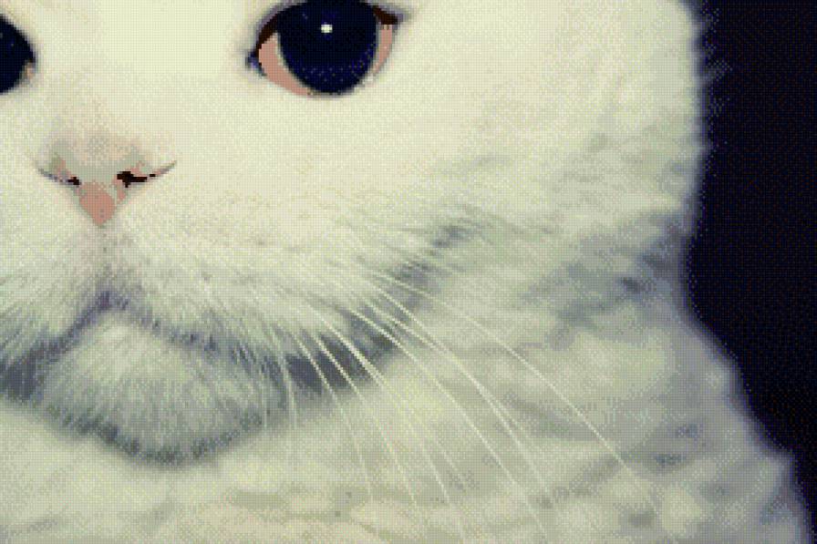 Белый кот - кот, животные - предпросмотр