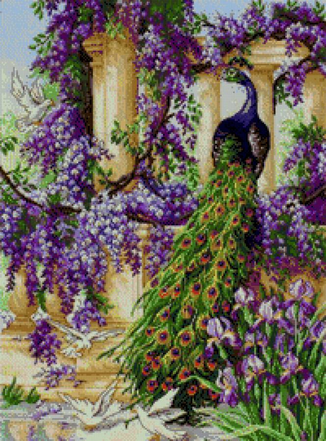 №651341 - предпросмотр