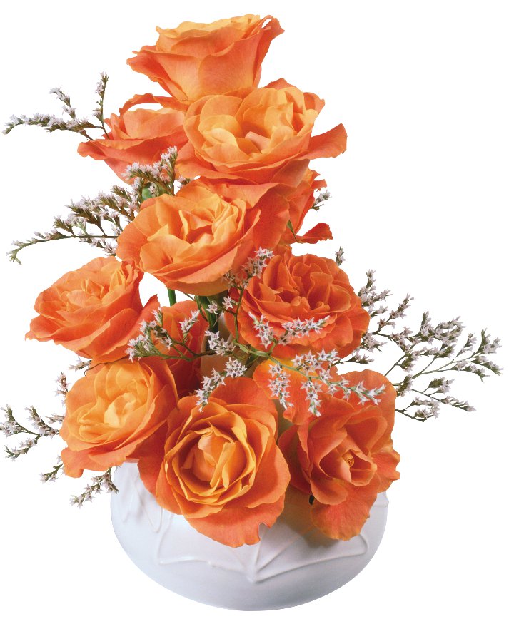 розы - цветы, красота - оригинал