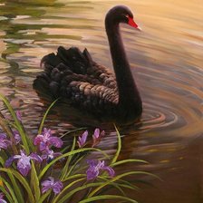 Схема вышивки «лебедь»