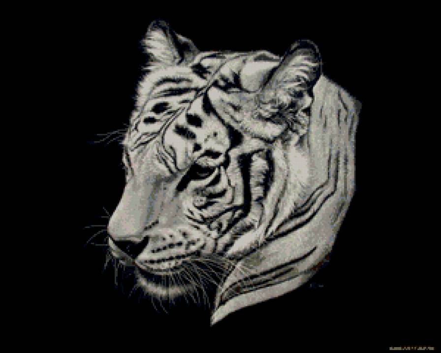 Тигр - кошки, животные - предпросмотр