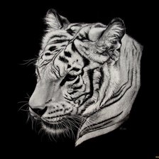 Оригинал схемы вышивки «Тигр» (№651534)