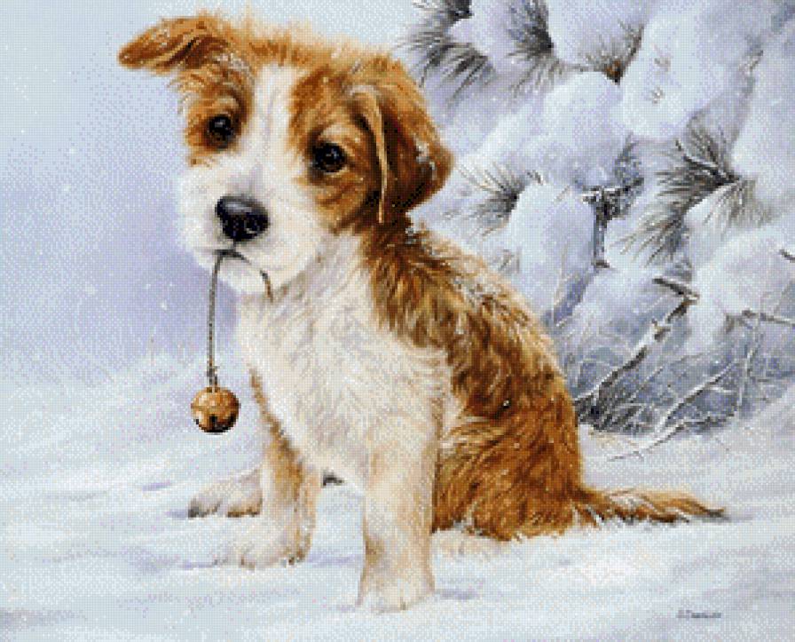 Малыш - животные, зима, снег, собака, щенок - предпросмотр