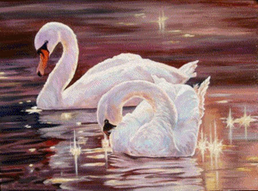 Пара лебедей 2 - лебеди - предпросмотр
