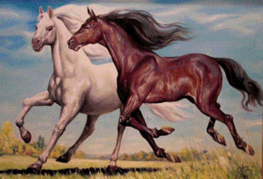 лошади - любовь, лошадь, верность, животные, пара - предпросмотр