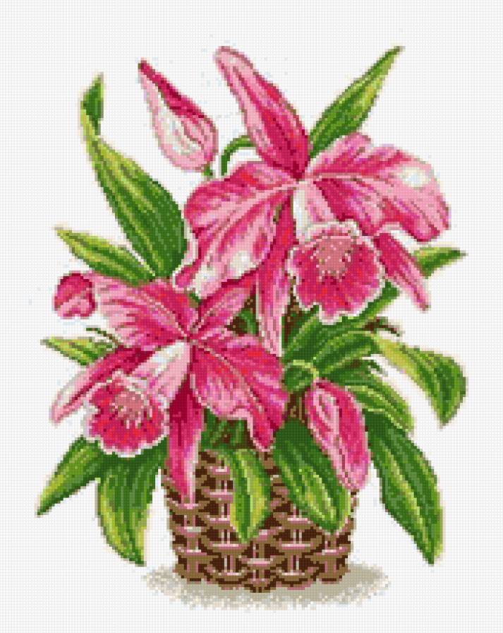 №651839 - предпросмотр