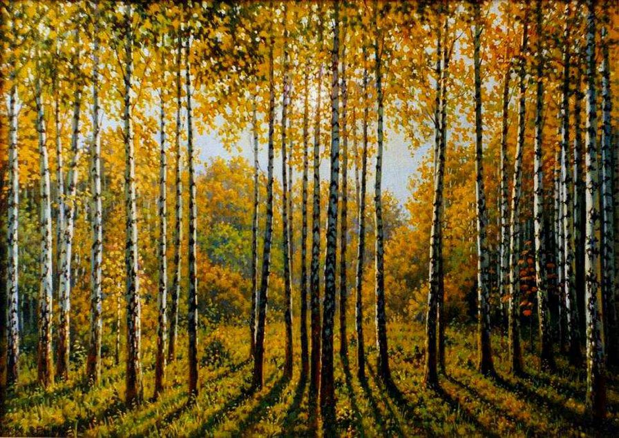 Осень в березах - природа, березы, осень, лес - оригинал