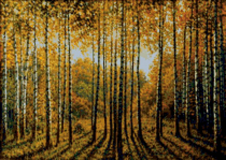 Осень в березах - осень, природа, лес, березы - предпросмотр