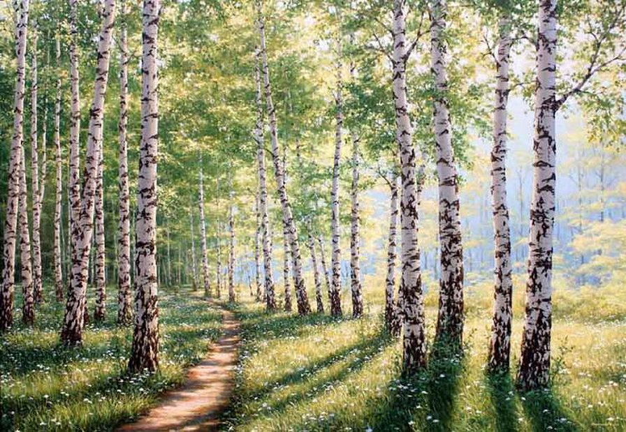 Весна в березах - березы, зелень, лес, солнце, весна - оригинал
