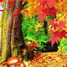 Схема вышивки «осень в лесу»