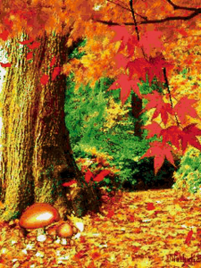 осень в лесу - осень, пейзаж, лес, листья, деервья - предпросмотр
