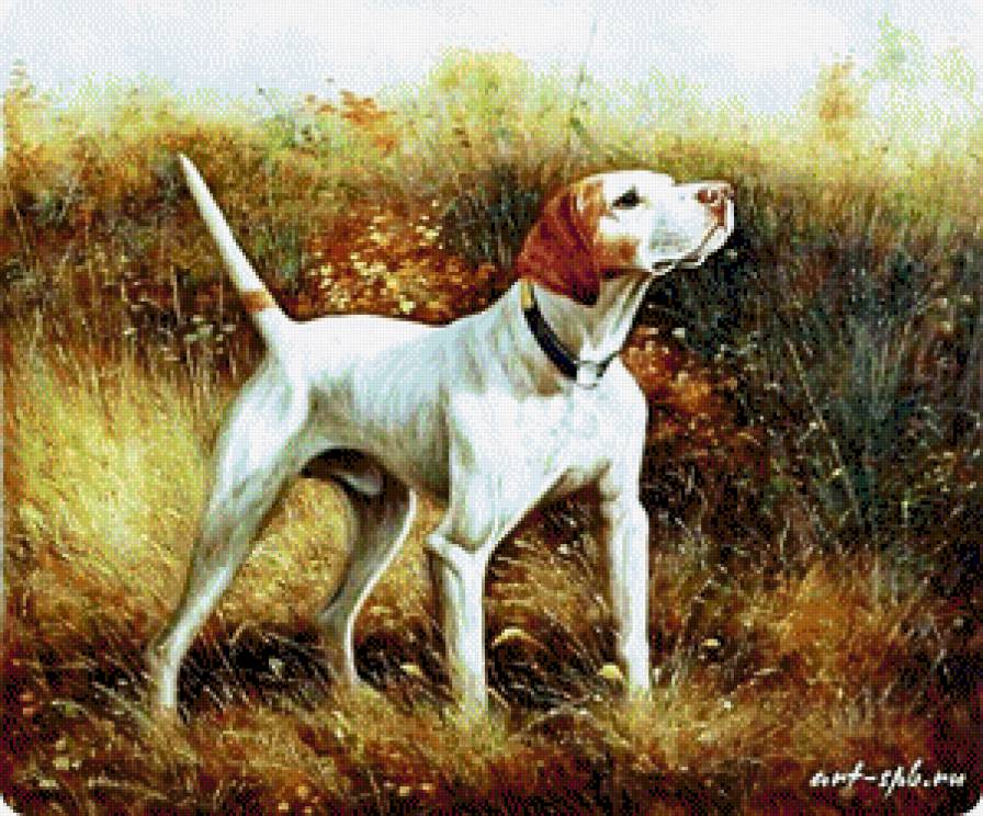 на охоте - животные, собаки - предпросмотр