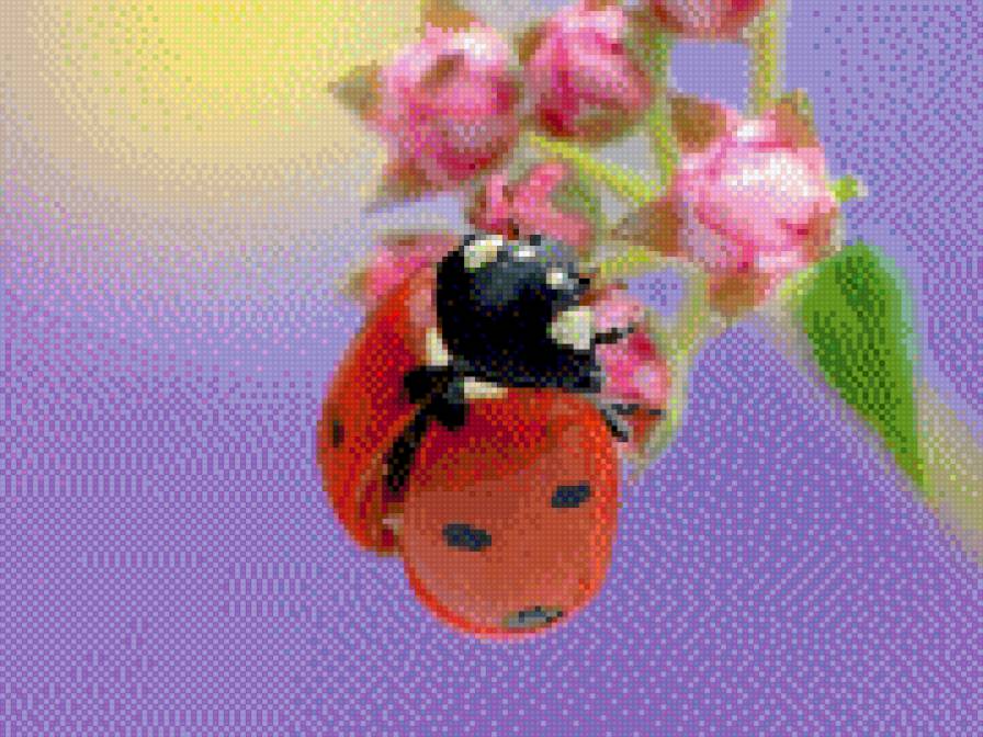 Божия коровка - насекомые, природа - предпросмотр