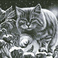 Схема вышивки «снежный кот»