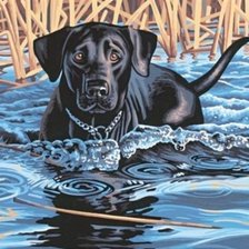 Любителям собак