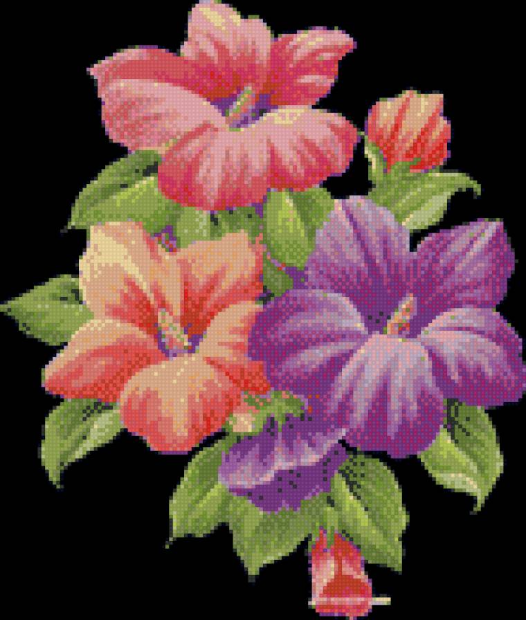 мальвы - предпросмотр