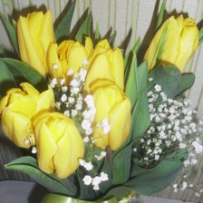 Схема вышивки «тюльпаны»