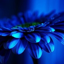 Схема вышивки «Композиция 3 Часть 2»