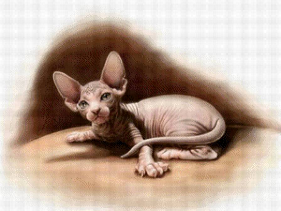 сфинкс - кошки - предпросмотр