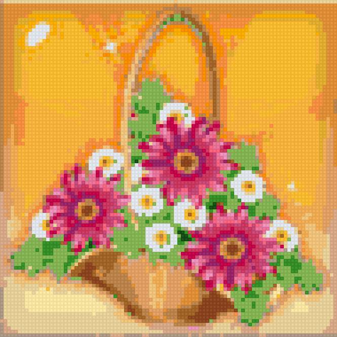 анемоны - цветы - предпросмотр