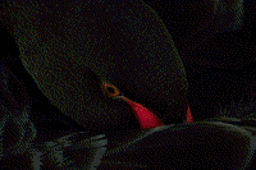 Черный лебедь - предпросмотр