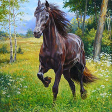 Схема вышивки «лошаь»