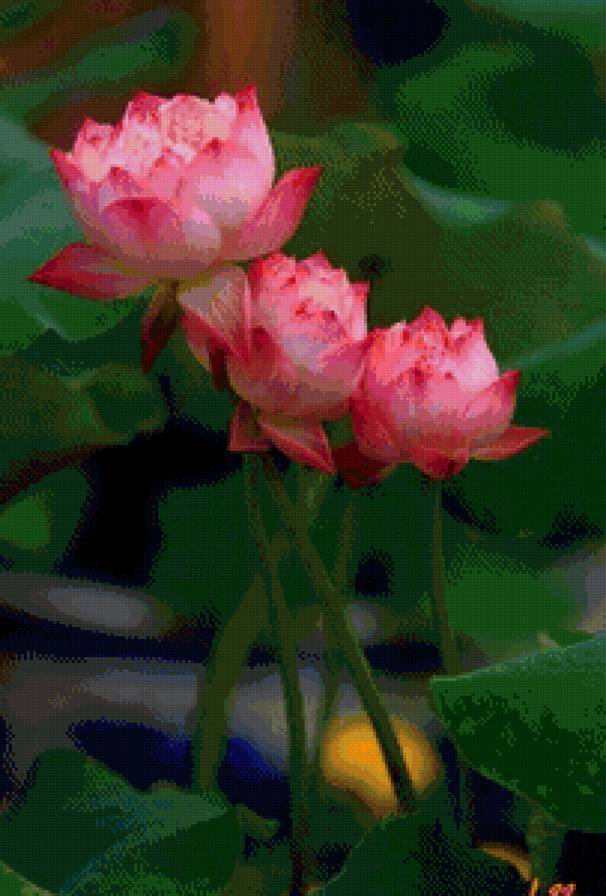 цветок - цветы - предпросмотр